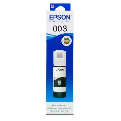 EPSON Ink Bottle (Black) C13T00V100